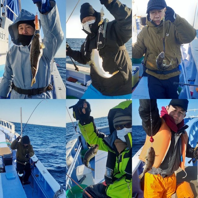 ショウサイフグ