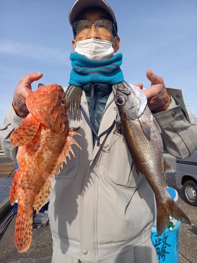 クロムツ・オニカサゴ