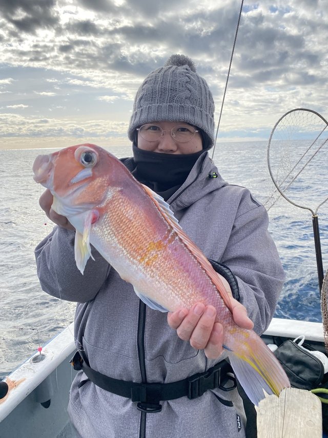 アマダイ(アカアマダイ)