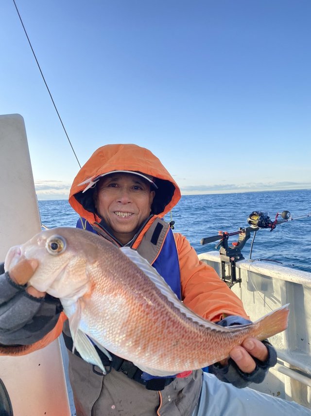 アマダイ(アカアマダイ)