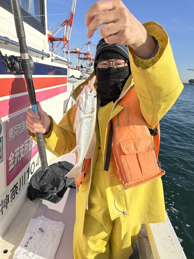 イシモチ(シログチ)