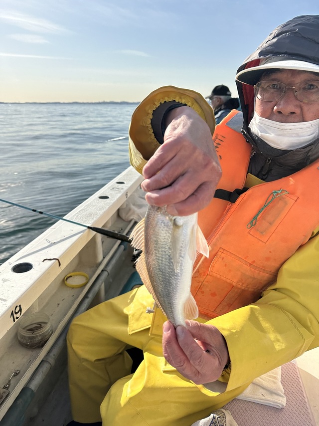 イシモチ(シログチ)