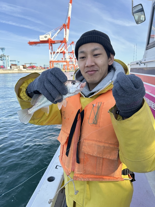 イシモチ(シログチ)