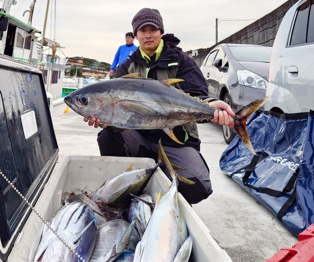 キメジ(キハダ)・カツオ