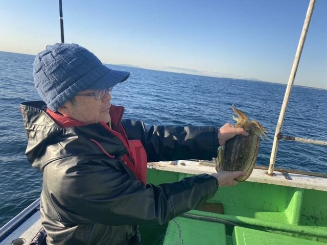 モンゴウ(カミナリイカ)