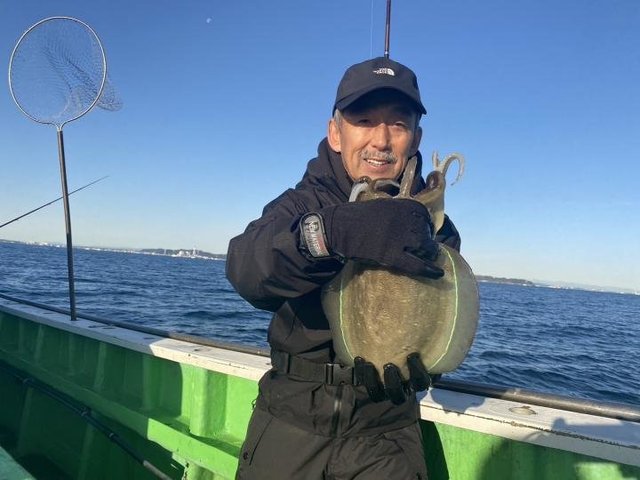 モンゴウ(カミナリイカ)