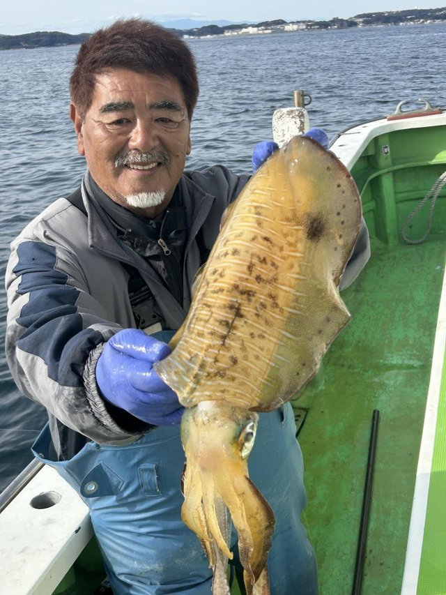 モンゴウ(カミナリイカ)