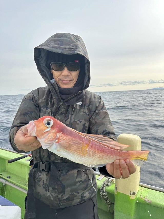 アマダイ(アカアマダイ)