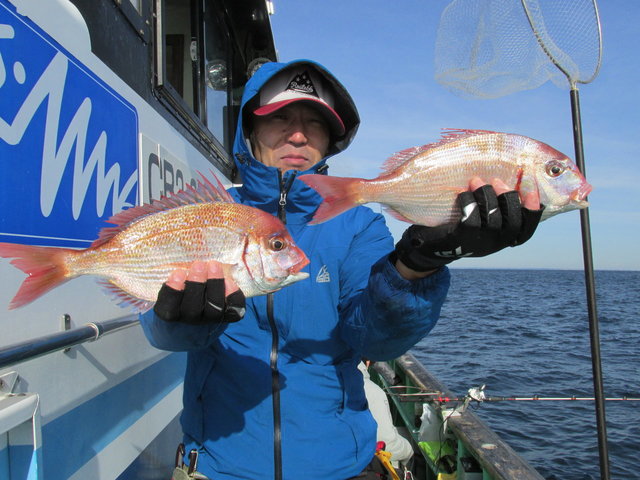 ハナダイ(チダイ)