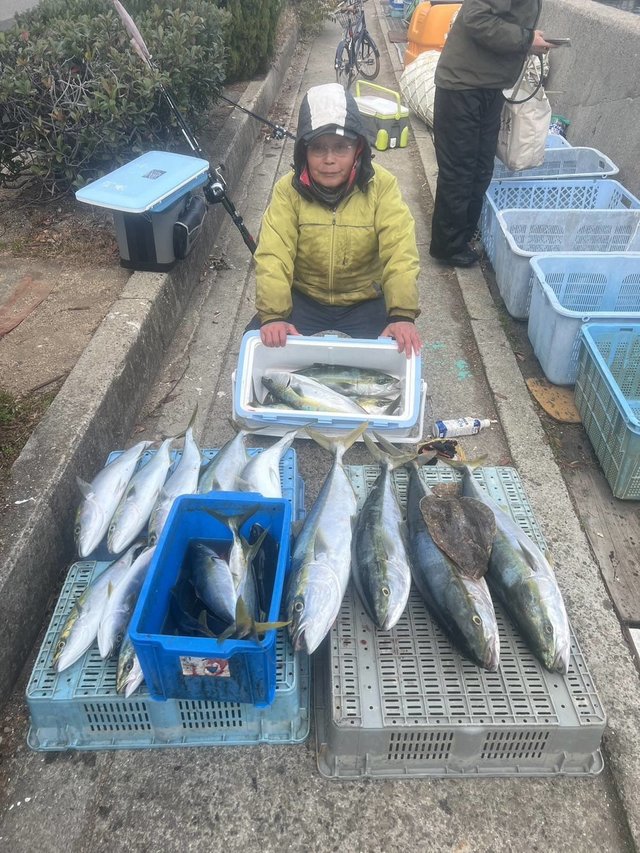 ブリ・ハマチ(ブリ)・メジロ(ブリ)