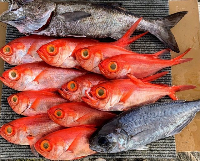 キンメ(キンメダイ)