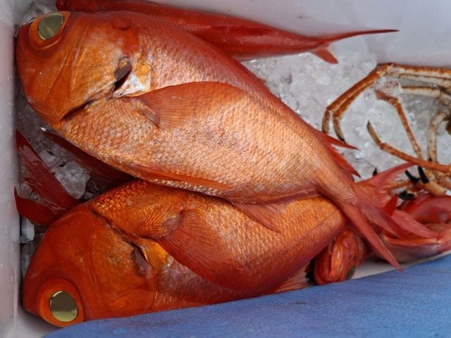 キンメ(キンメダイ)