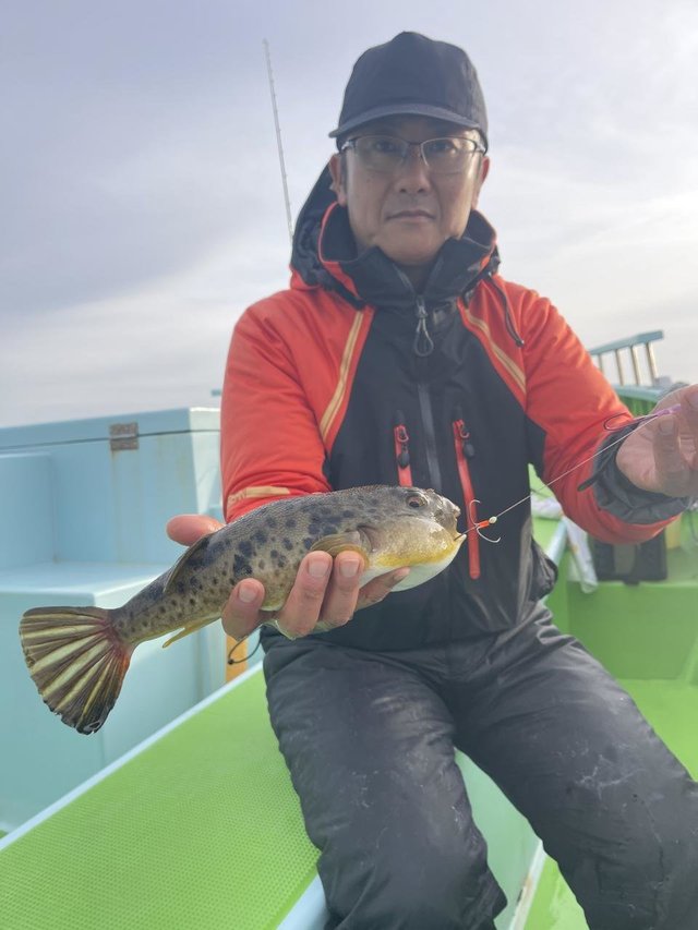 フグ(アカメフグ)