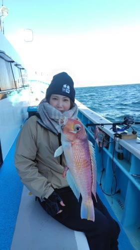 アマダイ(アカアマダイ)