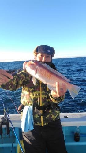 アマダイ(アカアマダイ)