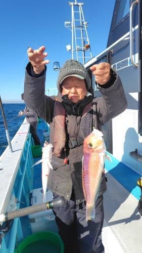 アマダイ(アカアマダイ)・ニベ