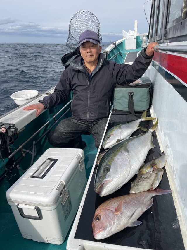 マダイ・ブリ・メジロ(ブリ)