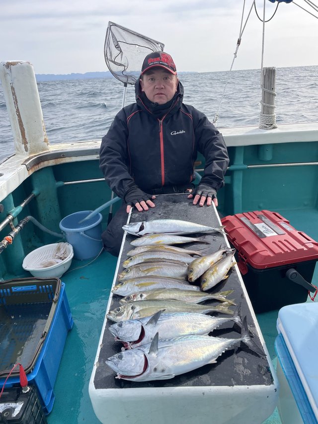 マダイ・グレ(メジナ)・ブリ・メジロ(ブリ)