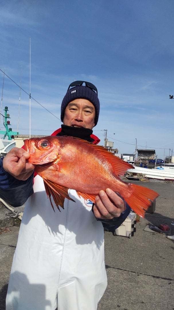 キントキ(チカメキントキ)