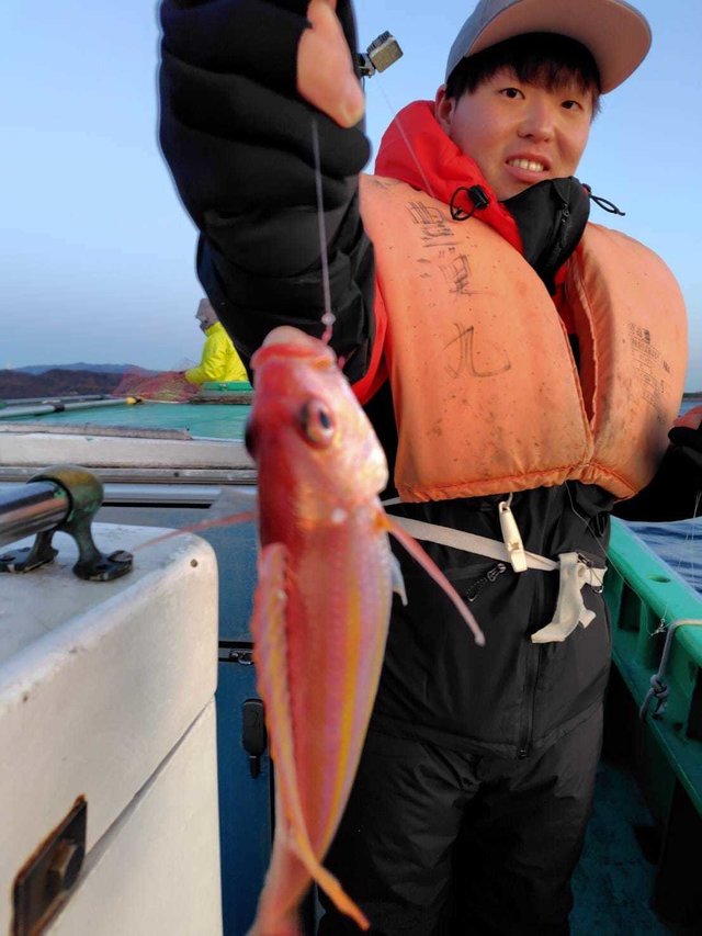 イトヨリ(イトヨリダイ)