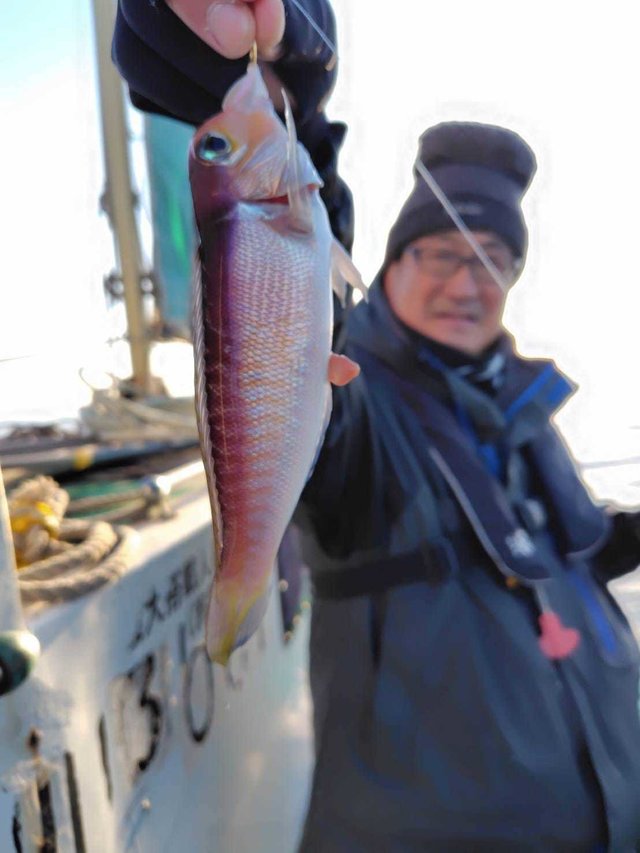 アマダイ(アカアマダイ)