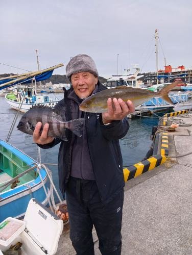 イシダイ・イサキ