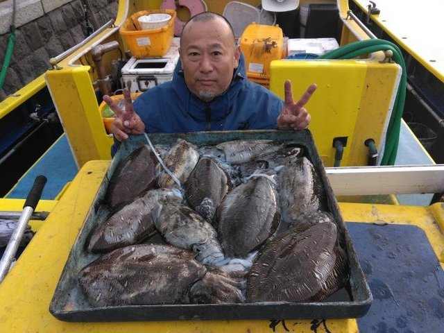 スミイカ(コウイカ)・カミナリイカ