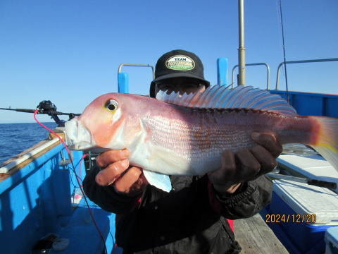 アマダイ(アカアマダイ)