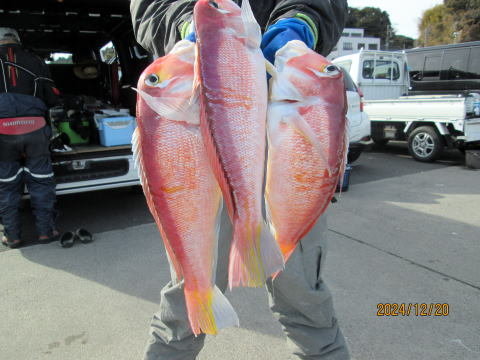 アマダイ(アカアマダイ)