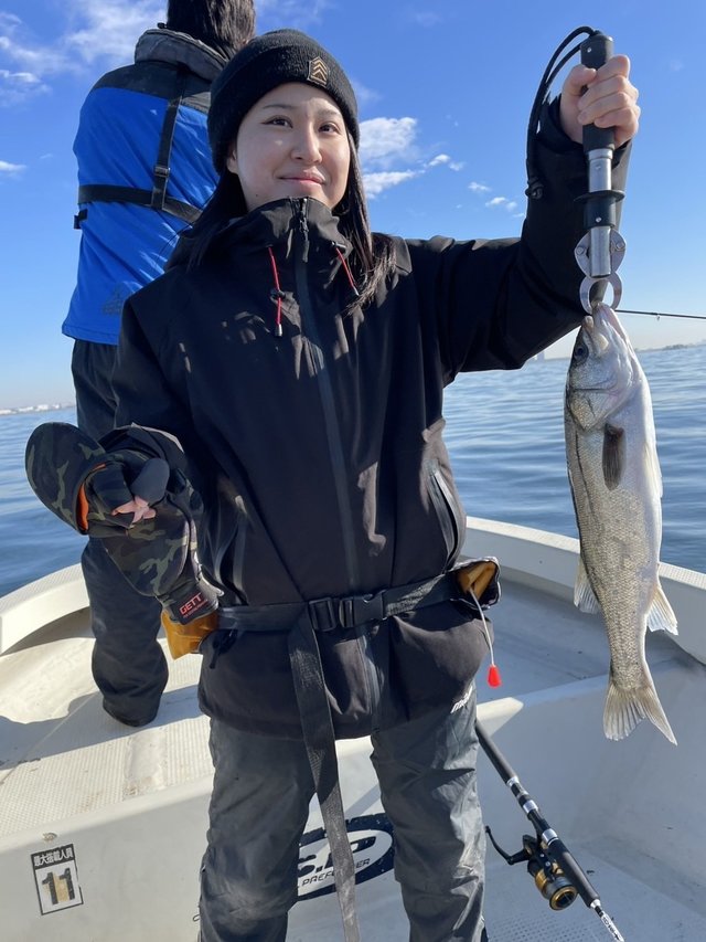 シーバス(スズキ)