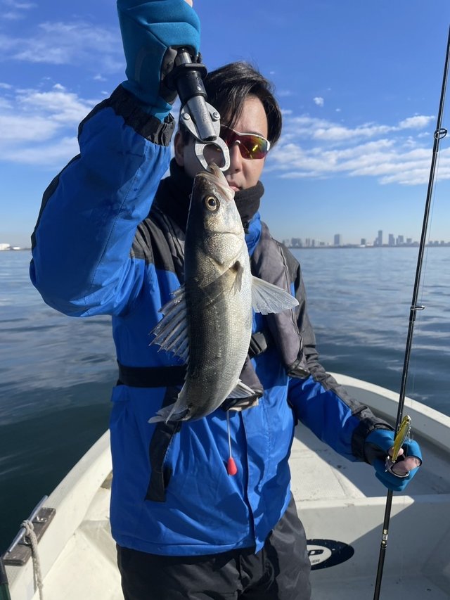 シーバス(スズキ)