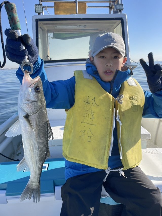 シーバス(スズキ)