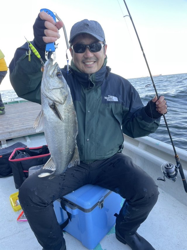 シーバス(スズキ)