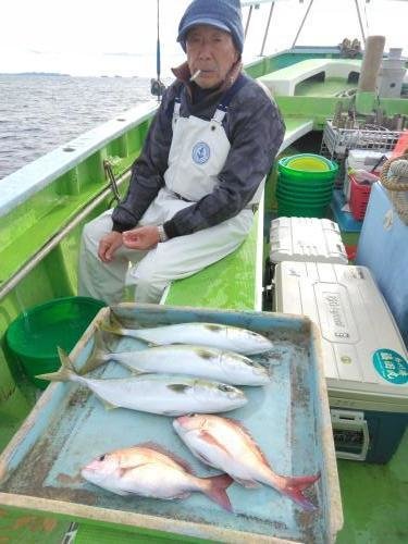 マダイ・イナダ(ブリ)