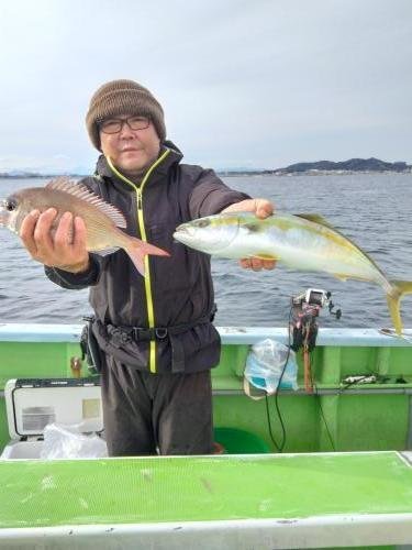 マダイ・イナダ(ブリ)