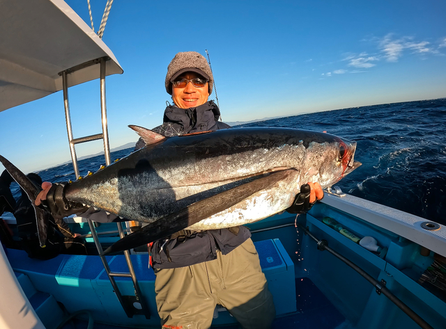 ビンチョウマグロ(ビンナガ)