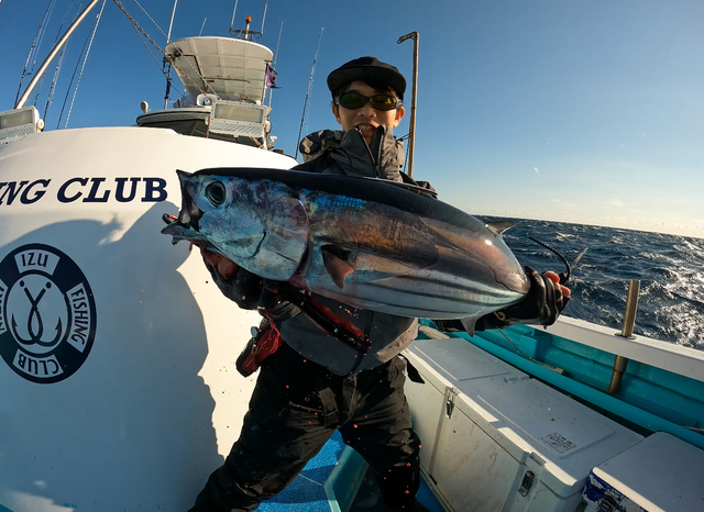ビンチョウマグロ(ビンナガ)