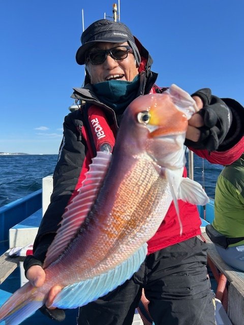 アマダイ(アカアマダイ)