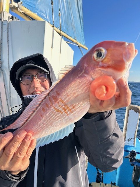 アマダイ(アカアマダイ)