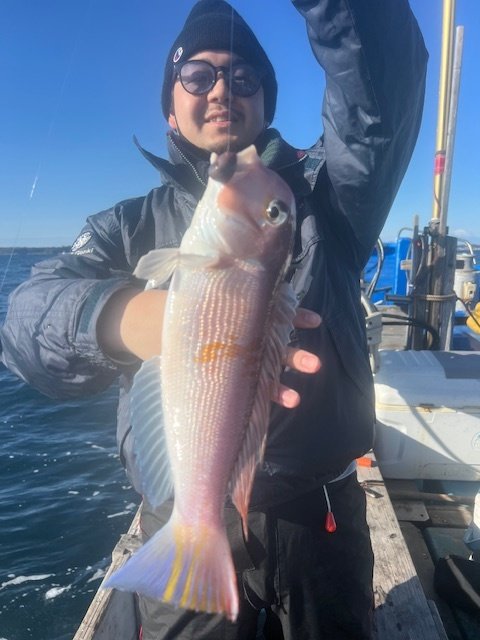 アマダイ(アカアマダイ)