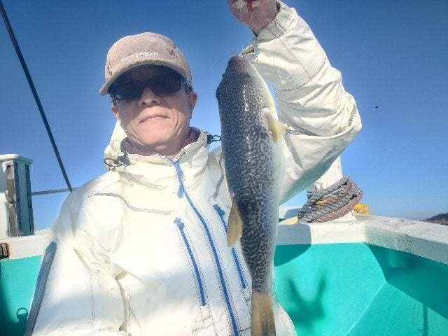 ショウサイフグ