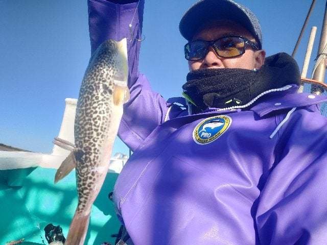 ショウサイフグ