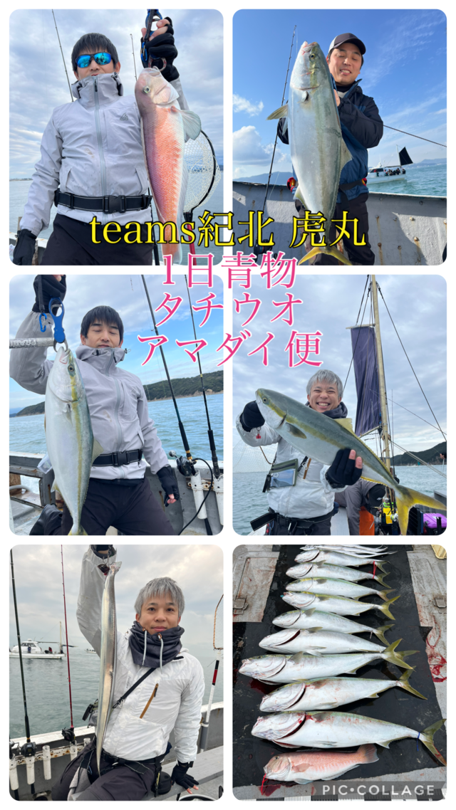 ブリ・メジロ(ブリ)・シロアマダイ・タチウオ