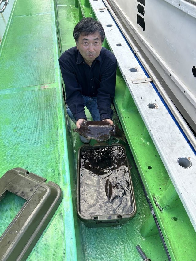 モンゴウ(カミナリイカ)