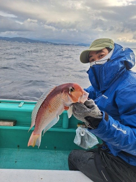 アマダイ(アカアマダイ)