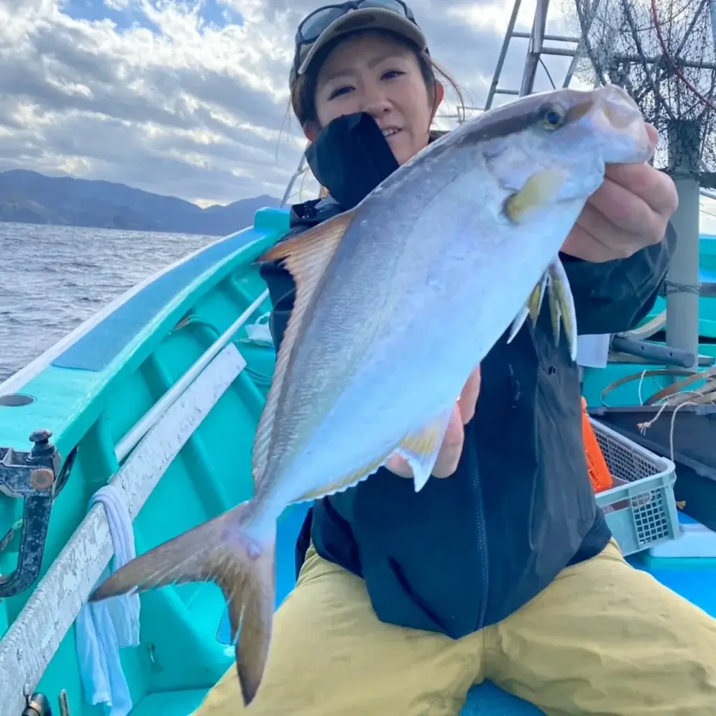 ショゴ(カンパチ)