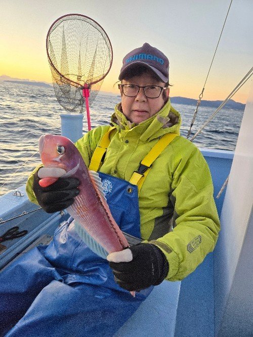 アマダイ(アカアマダイ)