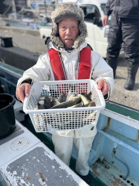 フグ(ショウサイフグ)