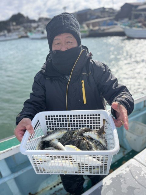 フグ(ショウサイフグ)