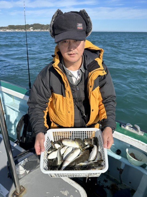 フグ(ショウサイフグ)